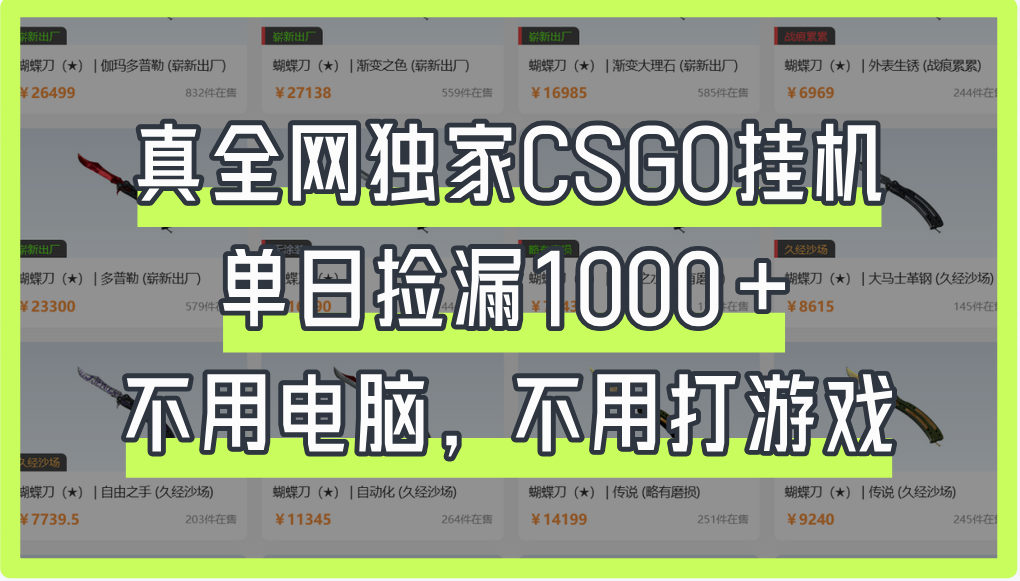 真全网独家CSGO挂机，单日捡漏1000+-多米网络