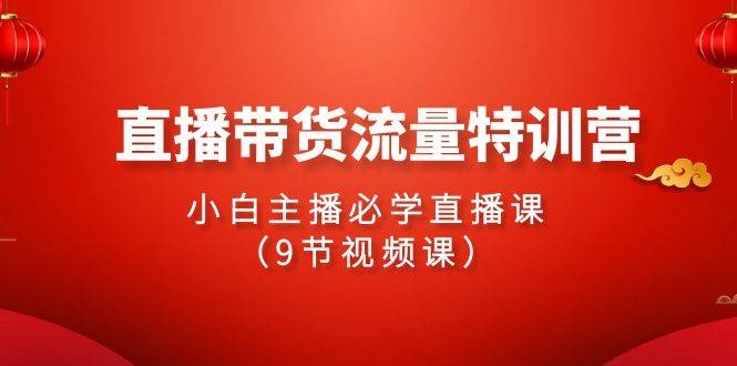 2024直播带货流量特训营，小白主播必学直播课（9节视频课）-多米网络