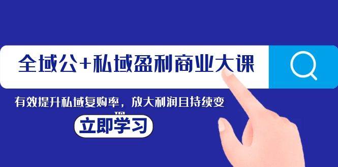 全域公+私域盈利商业大课，有效提升私域复购率，放大利润且持续变现-多米网络