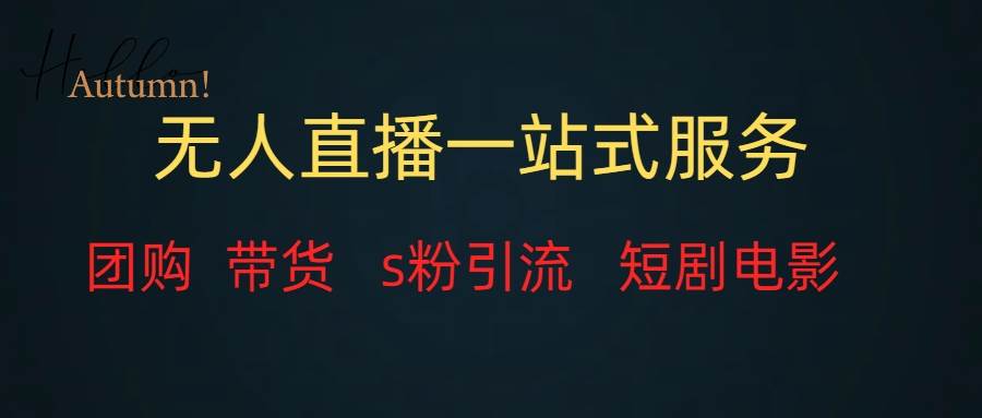 无人直播全套服务，变现稳定-多米网络
