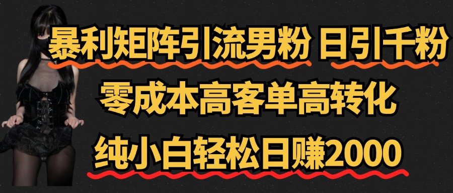 暴利矩阵引流男粉（日引千粉），零成本高客单高转化，纯小白轻松日赚2000+-多米网络