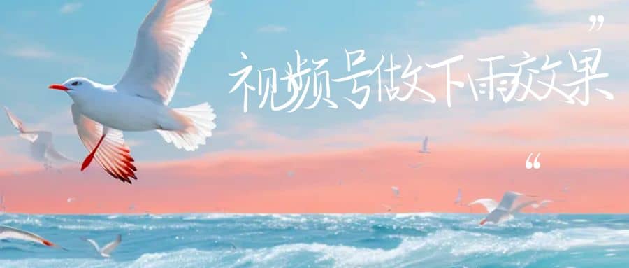 视频号做下雨视频一个账号一周涨粉10W+年入100w-多米网络