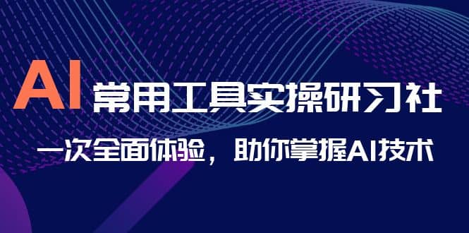 AI-常用工具实操研习社，一次全面体验，助你掌握AI技术-多米网络