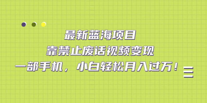 最新蓝海项目，靠禁止废话视频变现，一部手机，小白轻松月入过万！-多米网络