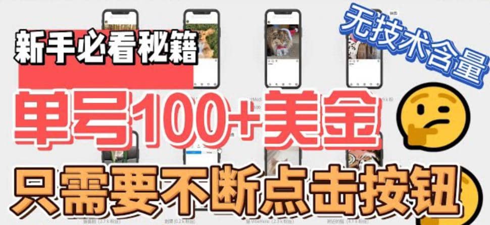 最新无脑只需不断点击按钮，单号100美金暴利项目，可批量操作-多米网络