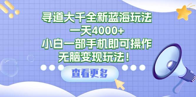 寻道大千全新蓝海玩法，一天4000+，小白一部手机即可操作，无脑变现玩法！-多米网络