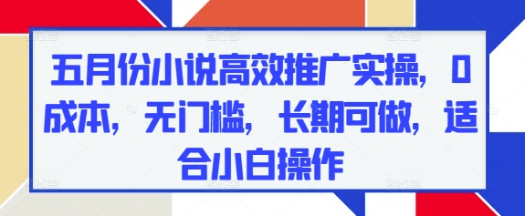 五月份小说高效推广实操，0成本，无门槛，长期可做，适合小白操作-多米网络