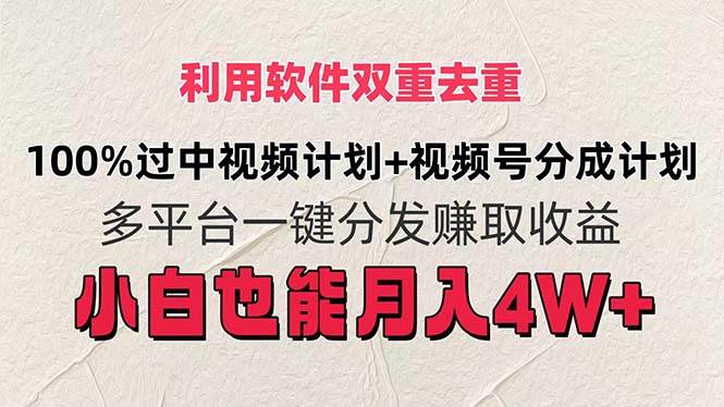 利用软件双重去重，100%过中视频+视频号分成计划小白也可以月入4W+-多米网络