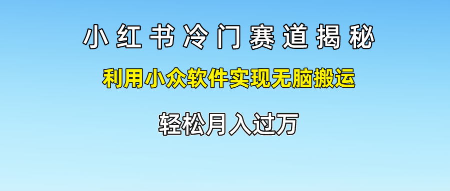 小红书冷门赛道揭秘,轻松月入过万，利用小众软件实现无脑搬运，-多米网络