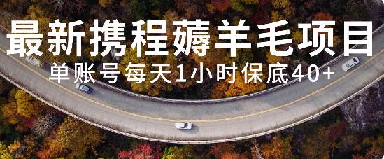 最新携程薅羊毛项目，单账号每天1小时保底收益40+，可矩阵操作-多米网络