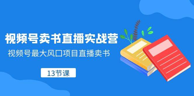 视频号-卖书直播实战营，视频号最大风囗项目直播卖书（13节课）-多米网络