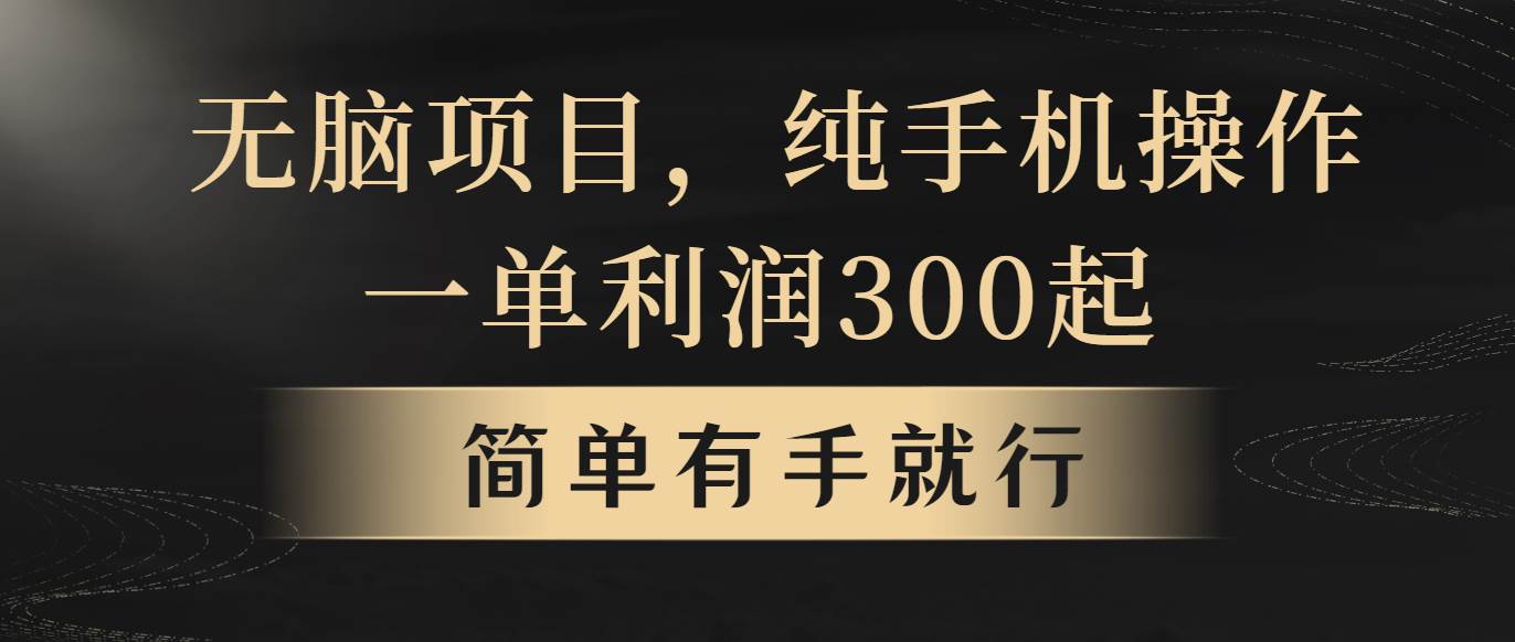 无脑项目，一单几百块，轻松月入5w+，看完就能直接操作-多米网络