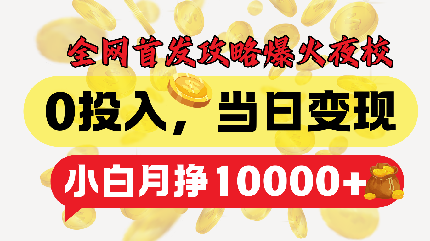 全网首发！爆火夜校，0投入，当日变现，小白轻松月入1w+-多米网络