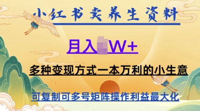 在小红书上卖养生资料，月入1w+，多种变现方式一本万利的小生意-多米网络