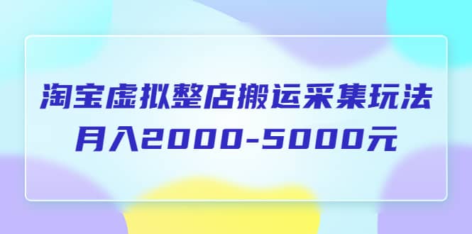 淘宝虚拟整店搬运采集玩法分享课：月入2000-5000元（5节课）-多米网络