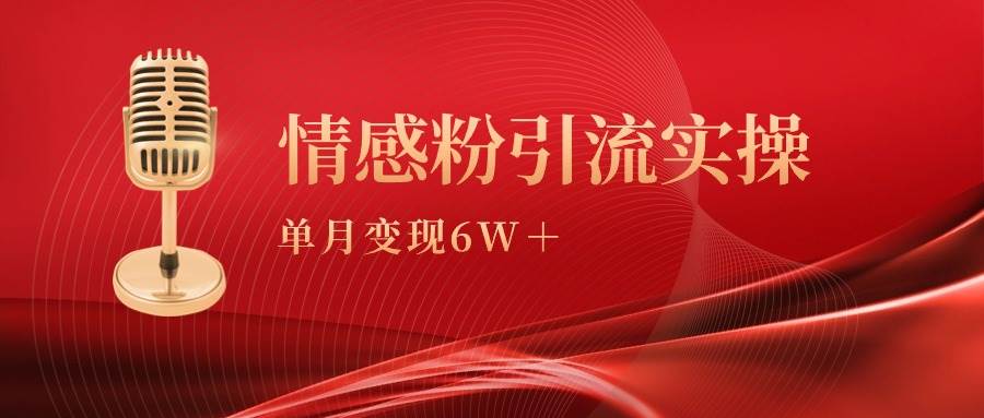 单月变现6w+，情感粉引流变现实操课-多米网络