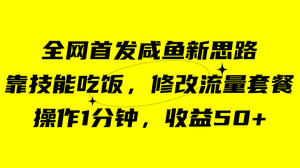 咸鱼冷门新玩法，靠“技能吃饭”，修改流量套餐，操作1分钟，收益50+-多米网络