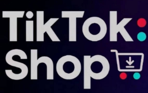 eric老师·TikTokShop跨境电商0-1实战(更新)-多米网络