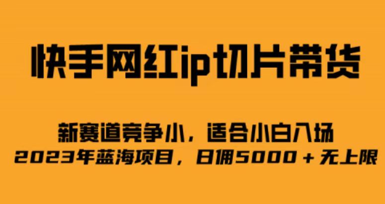 快手网红ip切片新赛道，竞争小事，适合小白 2023蓝海项目-多米网络