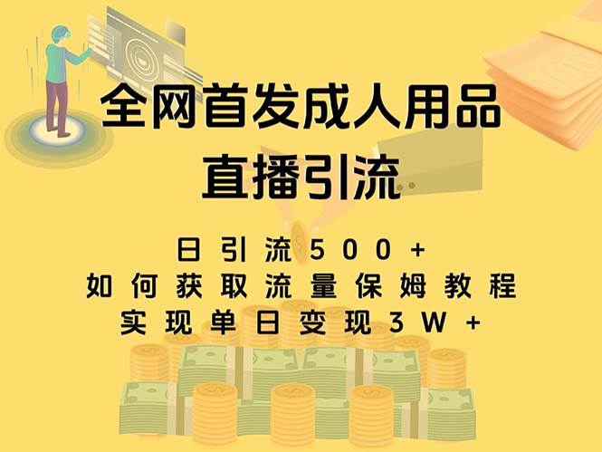 最新全网独创首发，成人用品直播引流获客暴力玩法，单日变现3w保姆级教程-多米网络