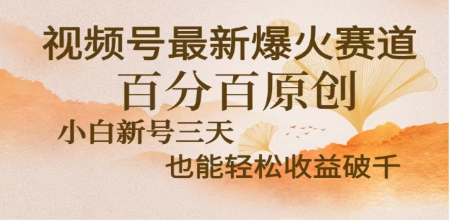 视频号独家玩法，老年养生赛道，无脑搬运爆款视频，日入2000+-多米网络