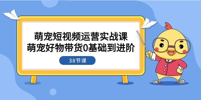 萌宠·短视频运营实战课：萌宠好物带货0基础到进阶（38节课）-多米网络