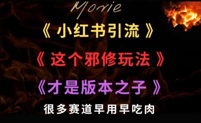 最近小红书引流这个邪修玩法才是版本之子，很多赛道早用早吃肉-多米网络