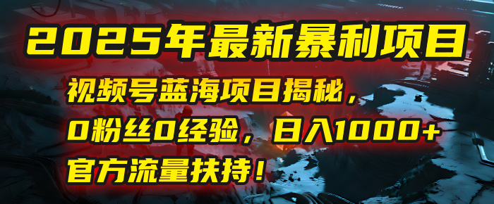 2025年最新暴利项目：视频号蓝海项目揭秘，0粉丝0经验，日入1000+，官方流量扶持！-多米网络