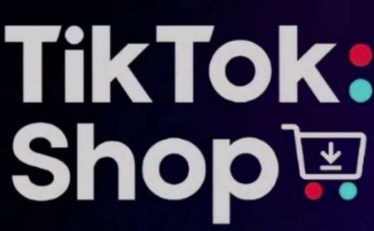 TikTokShop跨境电商0-1实战,手把手教你低成本启动海外市场 TikTokShop跨境电商0-1实战,手把手教你低成本启动海外市场