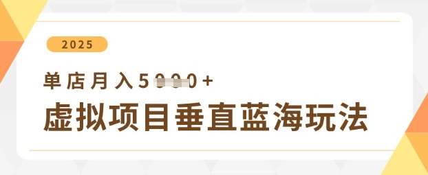 虚拟项目垂直玩法,实现单店月入5k+ 虚拟项目垂直玩法,实现单店月入5k+