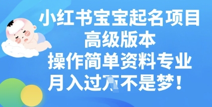 小红书宝宝起名项目高级版本，操作简单，资料专业，月入过W-米创网