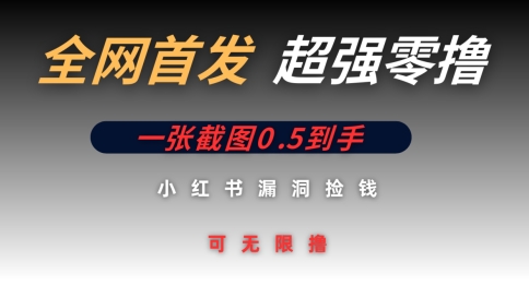 全网首发无限零撸捡钱项目，小红书一张截图0.5元可无限零撸-米创网