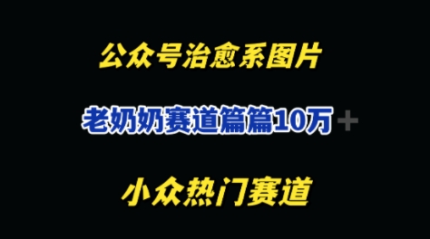 公众号老奶奶治愈系流量主，篇篇10W+-米创网