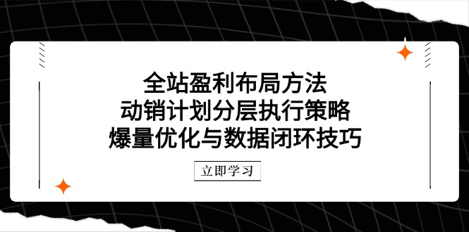 全站盈利布局方法：动销计划分层执行策略，爆量优化与数据闭环技巧-米创网