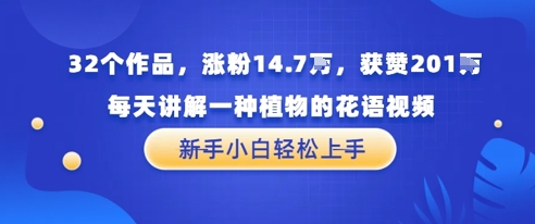 32个作品，涨粉14.7W，获赞201W，每天讲解一种植物的花语视频，无需任何技巧，新手小白轻松上手-米创网