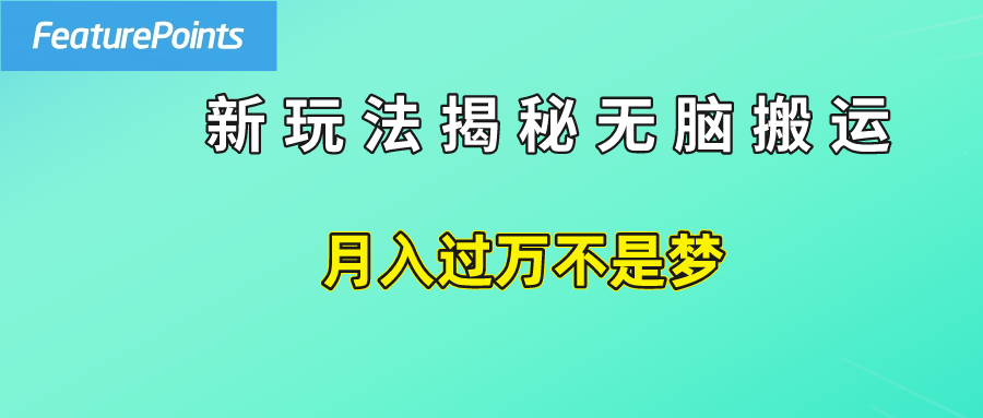 简单操作，每天50美元收入，搬运就是赚钱的秘诀！-米创网