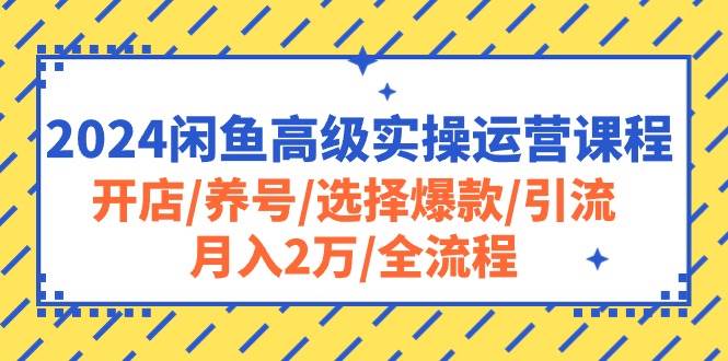 2024闲鱼高级实操运营课程：开店/养号/选择爆款/引流/月入2万/全流程-米创网
