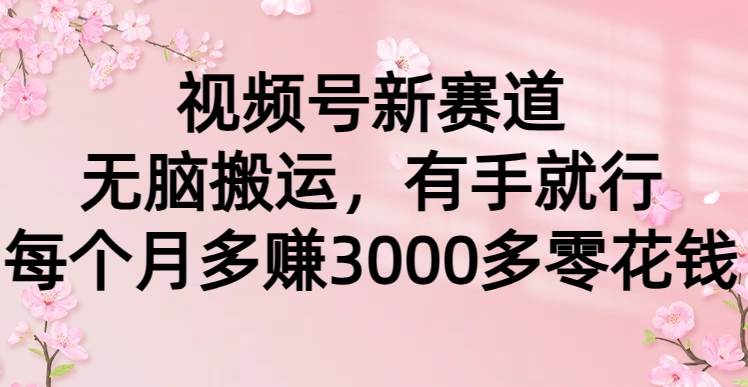 视频号新赛道，无脑搬运，有手就行，每个月多赚3000多零花钱-米创网