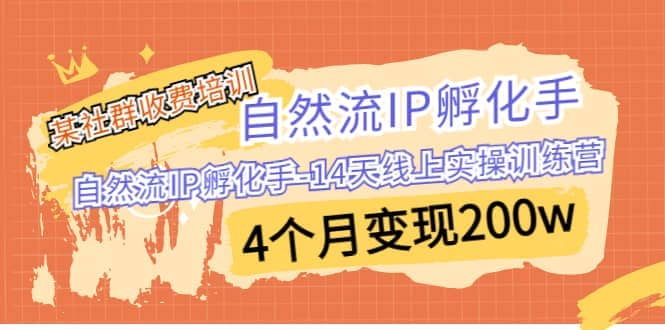 某社群收费培训：自然流IP 孵化手-14天线上实操训练营 4个月变现200w-米创网