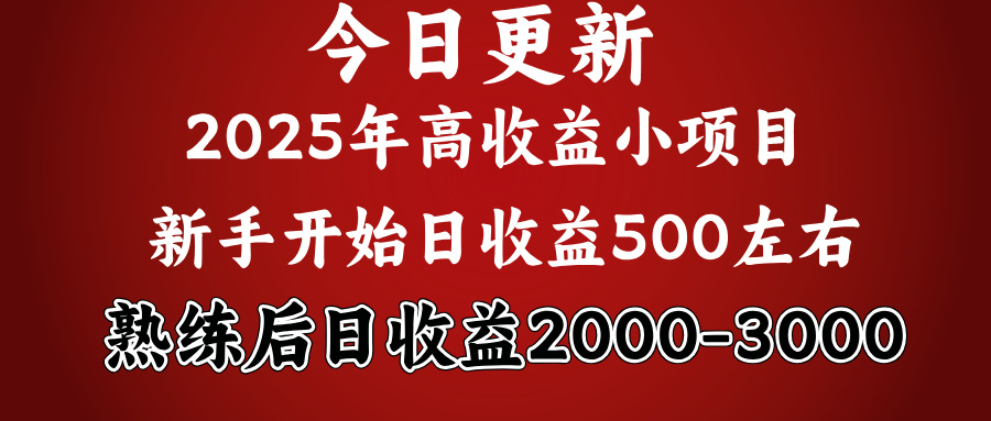 好项目一眼就能看出来，日收益1000，长久可做，2025拼的就是我比你勤奋-米创网