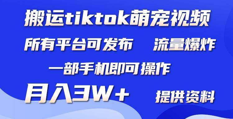搬运Tiktok萌宠类视频，一部手机即可。所有短视频平台均可操作，月入3W+-米创网