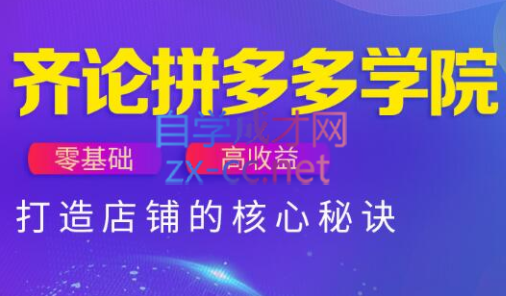 齐论拼多多vip课程-米创网
