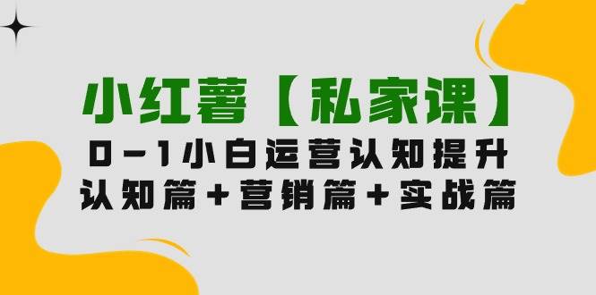 小红薯【私家课】0-1玩赚小红书内容营销，认知篇+营销篇+实战篇（11节课）-米创网