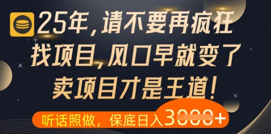 什么？25年你还在疯狂找项目做，醒醒吧，看完这些你全都懂了【揭秘】-米创网
