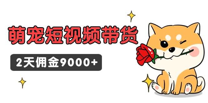 东哲日记·萌宠短视频带货，2天佣金9000+-米创网