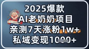 2025爆款 AI 老奶奶项目：亲测 7 天涨粉 1W+，私域变现 1k+-米创网
