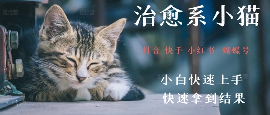 拆解，疯狂火爆！抖音，小红书，视频号小猫治愈的视频，轻松制作+快速拿到结果-米创网