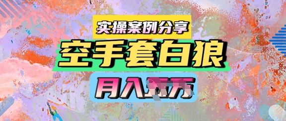 空手套白狼，月入过1W，实操案例分享-米创网