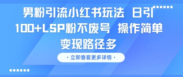 男粉引流小红书玩法，日引100+LSP粉不废号，操作简单，变现路径多-米创网