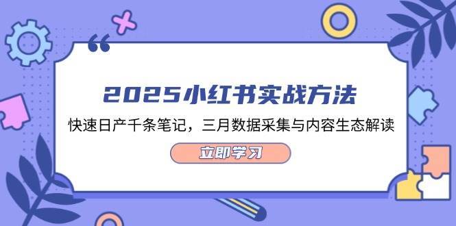 2025小红书实战方法，快速日产千条笔记，三月数据采集与内容生态解读-米创网